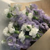 jenny__394